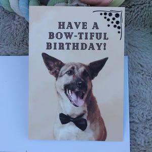 Linda tarjeta de cumpleaños con temática de perro / Tarjeta de felicitación personalizada de pastor alemán / Regalo para amantes de los perros