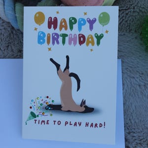 Linda tarjeta de cumpleaños con temática de perro / Tarjeta de felicitación personalizada de pastor belga malinois / Regalo para amantes de los perros