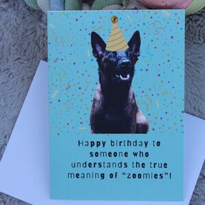 Linda tarjeta de cumpleaños con temática de perro / Tarjeta de felicitación personalizada de pastor belga malinois / Regalo para amantes de los perros
