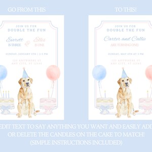 Joint Birthday Puppy Party Invite, Dog Party Invitation Template, Blue and Pink Gingham Puppy Party, Grand Millennial Puppy Birthday Invite