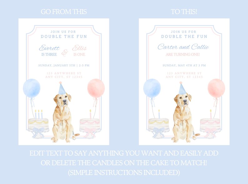 Joint Birthday Puppy Party Invite, Dog Party Invitation Template, Blue and Pink Gingham Puppy Party, Grand Millennial Puppy Birthday Invite