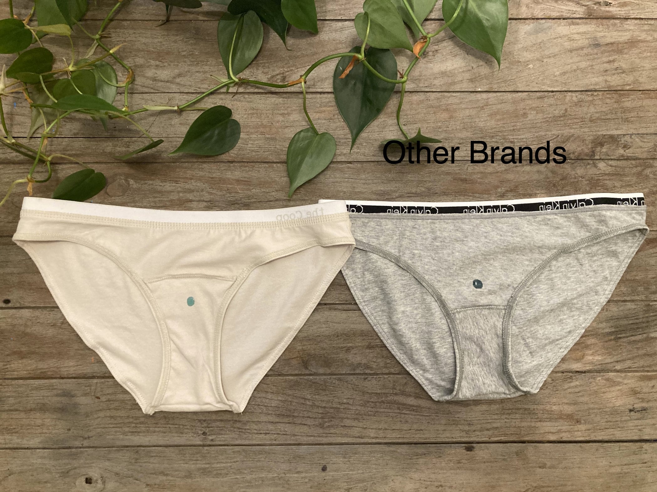 Longer Gusset Underwear Cotton Bikini 2 Pack the Coop -  Canada