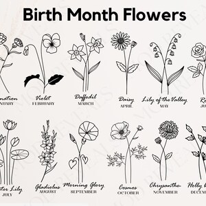 May include: A black and white line drawing illustration of flowers representing each month of the year. The flowers are labeled with their names and the corresponding month. January: Carnation, February: Violet, March: Daffodil, April: Daisy, May: Lily of the Valley, June: Rose, July: Water Lily, August: Gladiolus, September: Morning Glory, October: Cosmos, November: Chrysanthe, December: Holly berry.