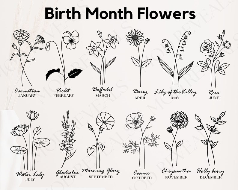 May include: A black and white line drawing illustration of flowers representing each month of the year. The flowers are labeled with their names and the corresponding month. January: Carnation, February: Violet, March: Daffodil, April: Daisy, May: Lily of the Valley, June: Rose, July: Water Lily, August: Gladiolus, September: Morning Glory, October: Cosmos, November: Chrysanthe, December: Holly berry.