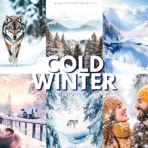 May include: A collection of winter images including a wolf in snow, snowy mountains, a cabin, and a couple in winter clothing. The words "COLD WINTER" and "MOBILE LIGHTROOM PRESETS" are written in white.