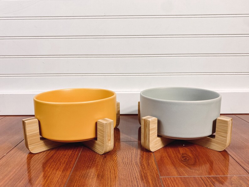 Modern Ceramic Pet Bowl With Raised Wood Stand Teal Dog and Cat Food