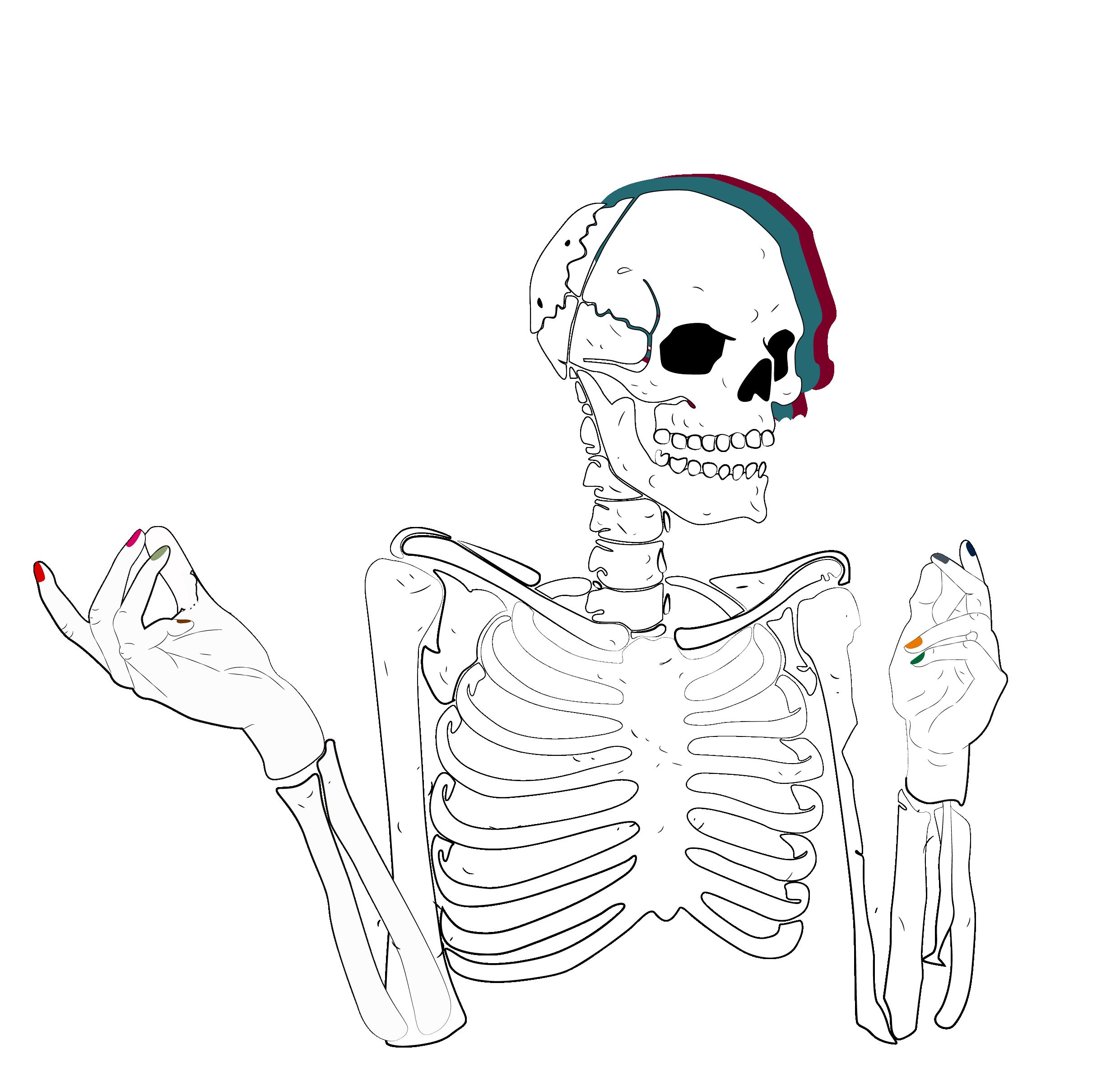 Bone Drawing Color Drawing Tumblr Bones