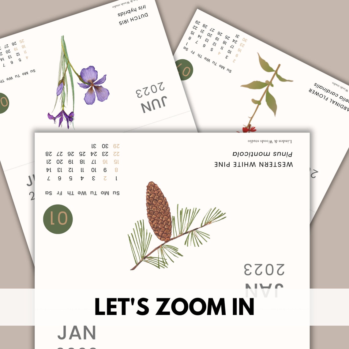 2023 Printable Monthly Canadian Native Plant Calendar Desk Etsy Canada