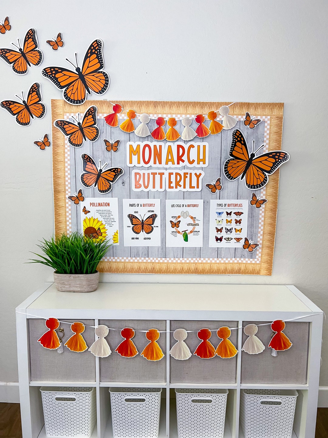 Butterfly Life Cycle Bulletin Board Kit. Monarch Butterfly Etsy