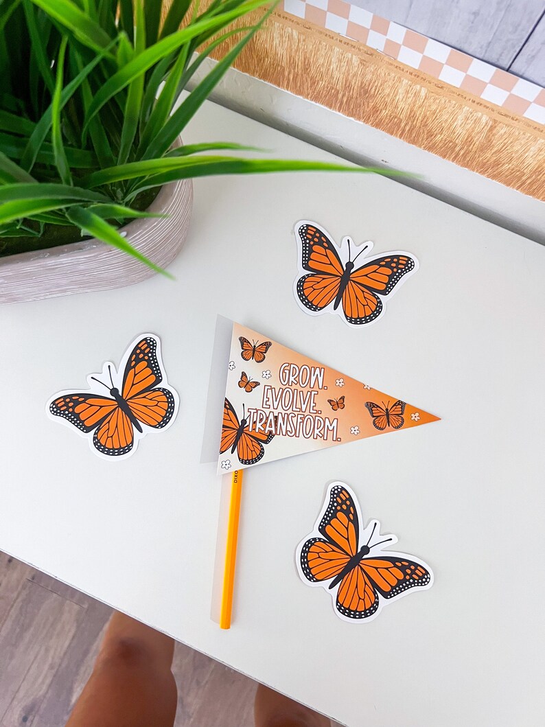 Monarch Butterfly Life Cycle Bulletin Board Kit: Classroom Decor (PDF ...