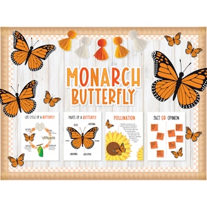 Butterfly Life Cycle Bulletin Board Kit. monarch butterfly experiment. Classroom decoration bulletin board, worksheets, crafts and posters