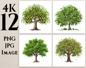 4K 12 Apple Tree Clipart, PNG, JPG, Cartoon Tree Clipart, Tree illustrations, Nature Clipart, Printable, Commercial Use,Digital Download, T4