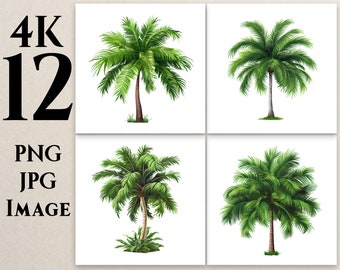4K 12 Palm Tree Clipart, PNG, JPG, Cartoon Tree Clipart, Tree illustrations, Nature Clipart, Printable, Commercial Use, Digital Download, T5