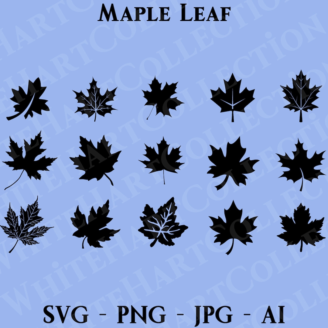 15 Maple Leaf Svg Bundle Commercial Use Svg, Png, Jpg, Ai, Leaves Svg ...