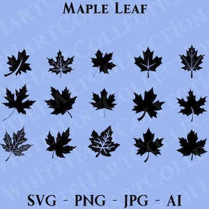 15 Maple Leaf Svg bundel commercieel gebruik Svg, Png, Jpg, Ai, bladeren Svg, Leaf Clipart, Canada Svg, Leaf Silhouette, Cricut Cut File, L2