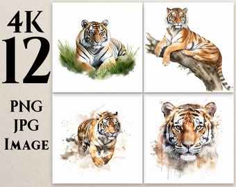 4K 12 Tiger Clipart, PNG, JPG, Watercolor Tiger Clipart, Tiger illustrations, Drawing, Animal, Printable, Commercial Use,Digital Download,T2