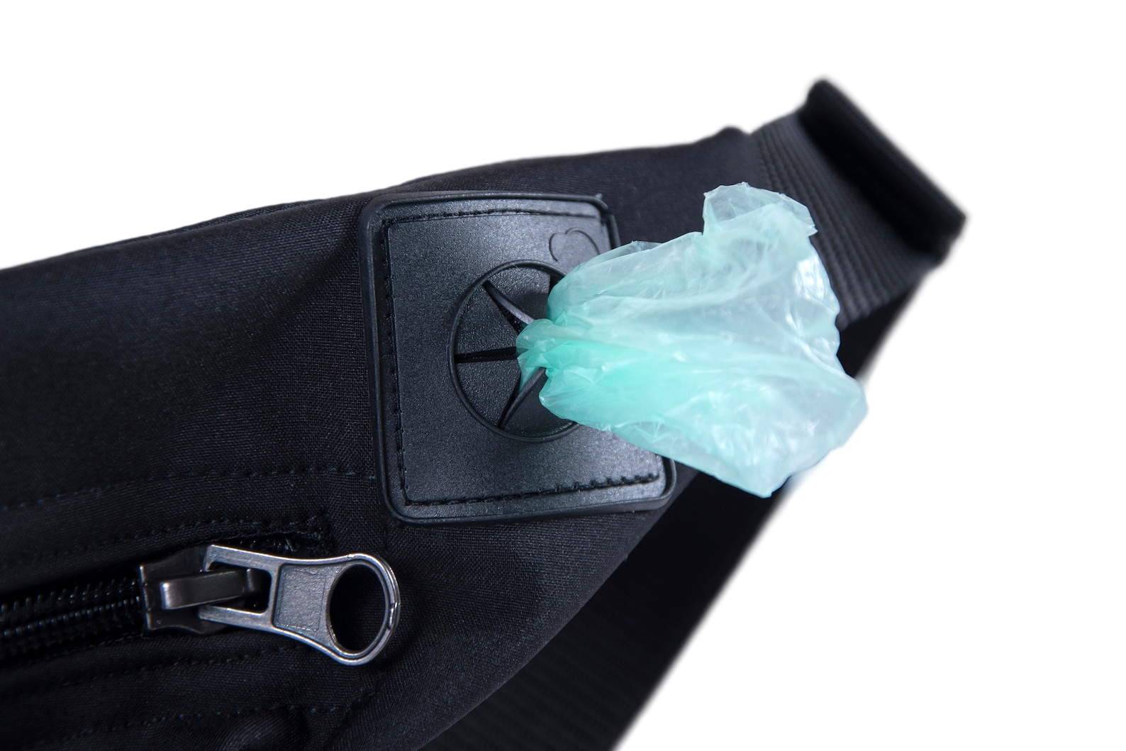 Treatbag for Dogs 2in1 Grease Resistant mint Etsy