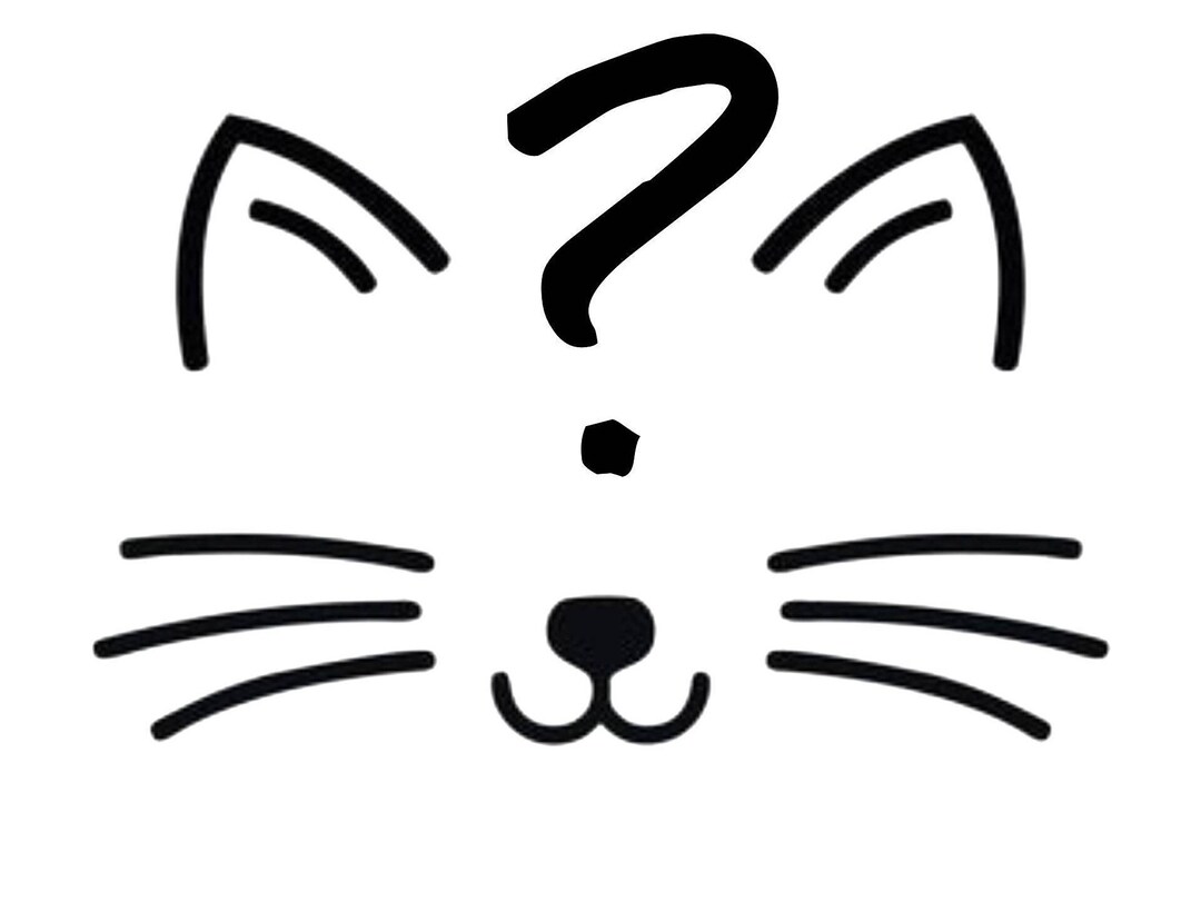 Mystery Box for Cats Small Games for Cats Catnip Toy Cat Etsy