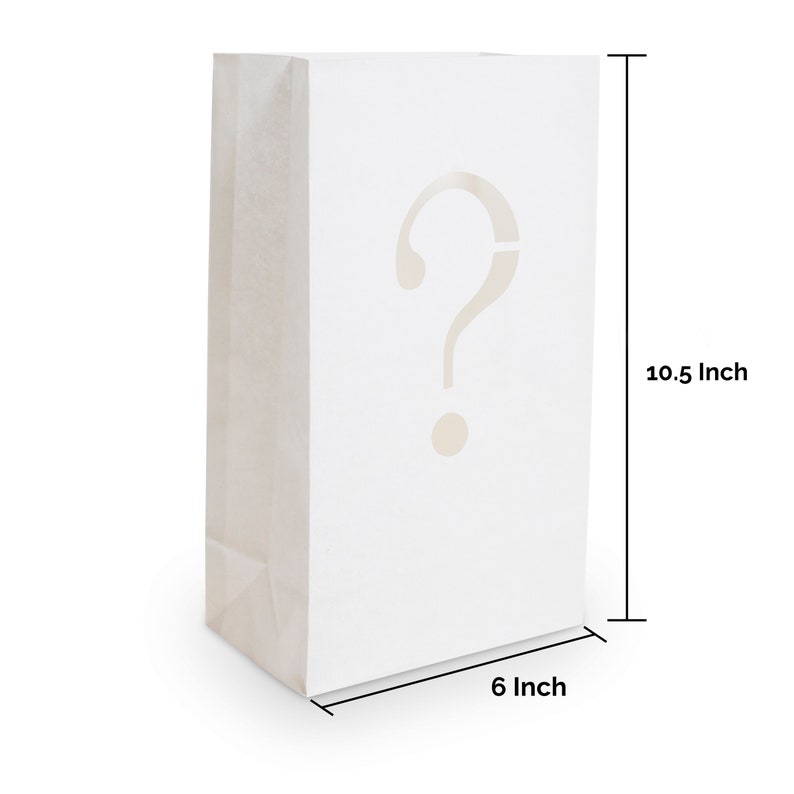 Luminary Paper Bags Wedding Proposal Decorations will You Marry Me