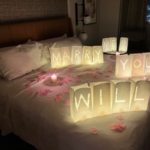 PUEDO SER TU NOVIO? Lighted Letters Sign 17pcs Luminary Paper Bags 2200pcs Red Pink Artificial Rose Petals 48pcs Flameless LED Candle Tealight 15pcs Heart Balloons Romantic Night Valentine's Day