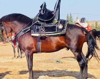 Traditioneller marokkanischer Sattel Pferdesattel handgemachter Sattel, Geschenk für Pferdeliebhaber, verkaufen Sie du Cheval