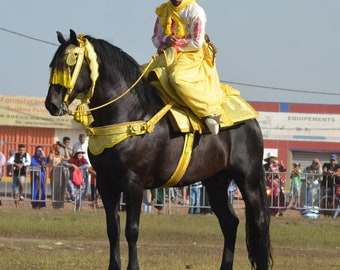 Saddle, Moroccan Traditional Saddle Horse Saddle Handmade Saddle, Saddle Leather Grab Strap, Horse Saddle Bag, selle du cheval