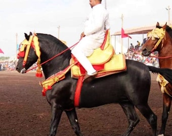 Traditioneller marokkanischer Sattel Pferdesattel handgemachter Sattel, verkaufte du Cheval