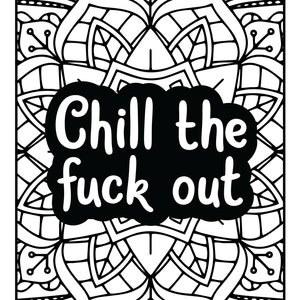 65 Adult Coloring Book Pages | Printable Coloring Pages | Swear Words Coloring Book | Affirmation Coloring| Stress Relief Gift