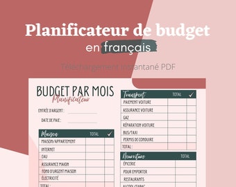 Monthly printable budget for account management and monthly and annual financial monitoring, A4, A5, PDF