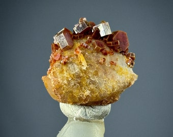 Exceptional Vanadinite on seashell fossil 2*2*1 cm