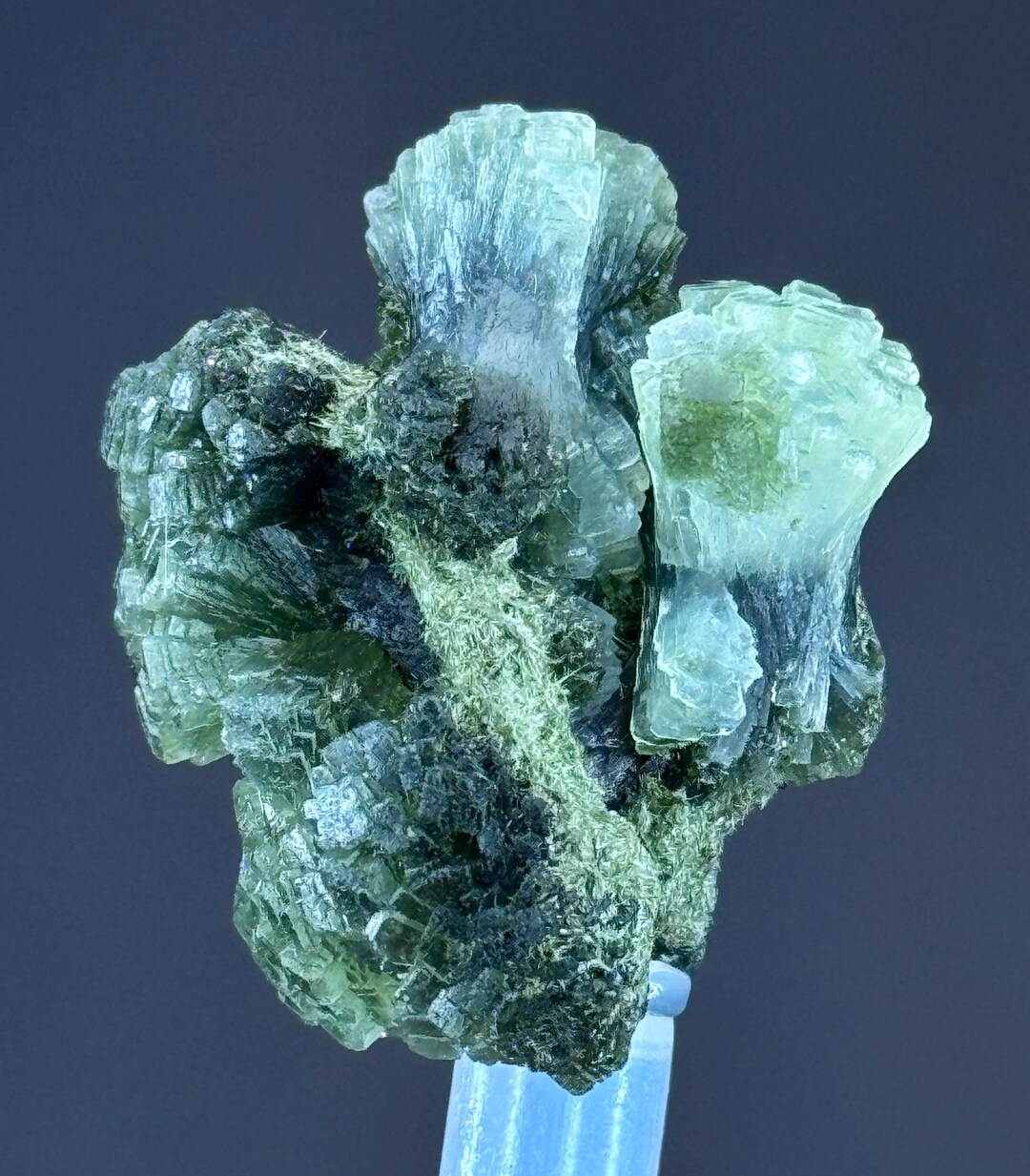 Prehenite in Perfect Conditions - Etsy