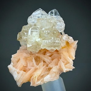 May include: A close-up of a mineral specimen featuring a cluster of clear, crystalline structures atop a peach-colored, spiky base. The crystals are translucent, with a geometric appearance, set against a dark gray background.