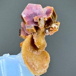 Rara combinazione di vanadinite con conchiglia fossilizzata in perfette condizioni