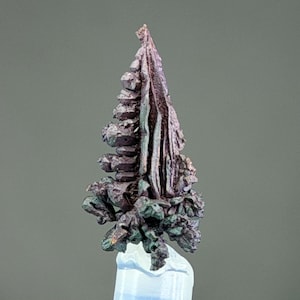 May include: A metallic copper specimen featuring a sharp, pointed, tree-like crystalline structure with a dark, oxidised patina. The mineral displays intricate, layered, and branching formations with deep brown, bronze, and subtle green hues.