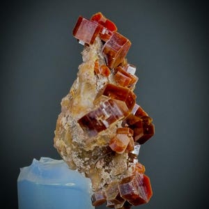 Rara scoperta di combinazione di vanadinite in combinazione con una lumaca gasteropode fossilizzata in perfette condizioni