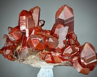 May include: A cluster of vibrant, reddish-orange quartz crystals. The crystals are sharply defined with multiple facets, creating a sparkling, gem-like appearance. The quartz sits on a white base, with a light blue stand in the background. The overall effect is a striking display of natural mineral beauty.