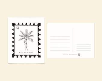 Tropical Stamp Postcard: Travel Gift, Brazil, Minimalist