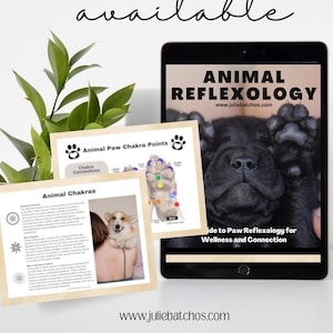 Guia de reflexologia de patas de animais e cura Reiki para bem-estar holístico e conexão, por comunicador profissional de animais e mestre de Reiki