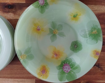 Luminarc Palluy glass dinner plates