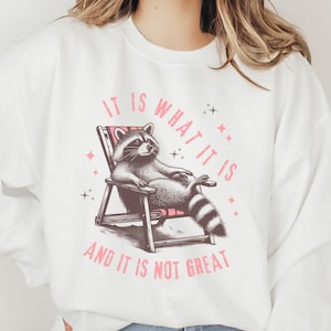 Retro Raccoon Sweatshirt, Raccoon Sweater, Raccoon Gifts, Vintage Style Sweater, Meme Sweatshirt, Funny Graphic Sweatshirt, Raccoon Lover