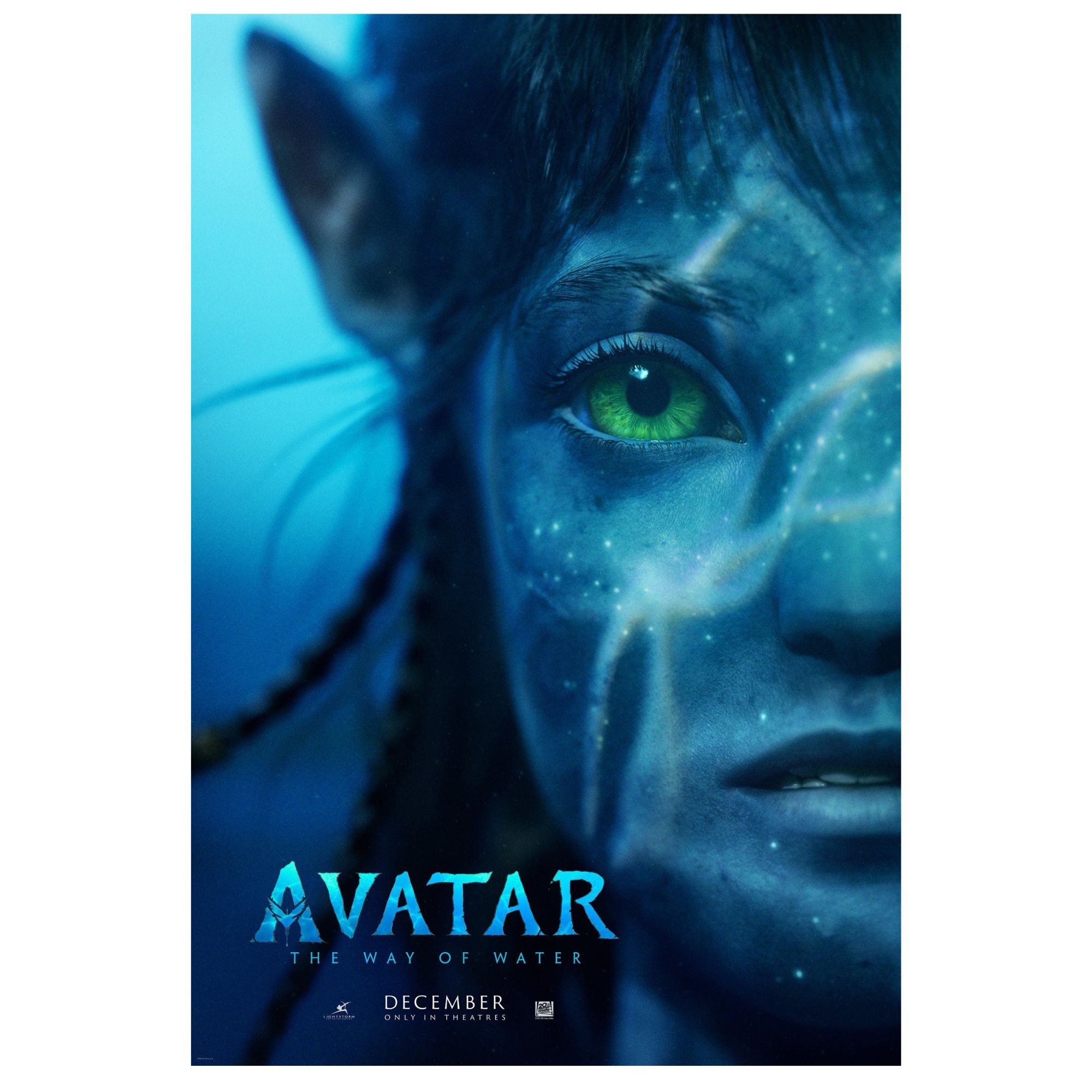 Avatar 2009 Original French Petite Movie Poster Original Film Art Vintage Movie Posters #29 Avatar 2009 Original French Petite Movie Poster Original Film Art Vintage Movie Posters