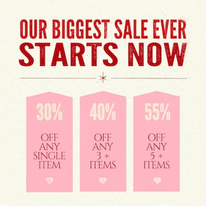 Pu&ograve; includere: Una grafica rosa e bianca con il testo "OUR BIGGEST SALE EVER STARTS NOW" in rosso. Tre caselle rosa con testo bianco mostrano sconti del 30% su qualsiasi articolo singolo, 40% su qualsiasi acquisto di 3 o pi&ugrave; articoli e 55% su qualsiasi acquisto di 5 o pi&ugrave; articoli.