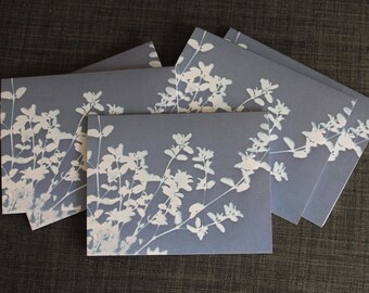 Original Set of 10 Cyanotype Art Blank Notecards with Envelopes