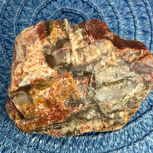 Rainbow Petrified Wood - Arizona Petrified Wood – Fossilized Wood – Premium Quality – Healing – Arizona Rainbow Petrified Wood - Quality