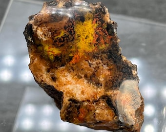 May include: A raw, unpolished mineral specimen featuring a complex matrix of deep brown, black, and earthy orange tones. A vibrant patch of bright yellow and fiery red inclusions is visible near the top, with a translucent, milky white area.