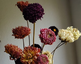 Dried Dahlias