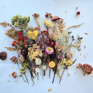 Dried Flower Craft Box
