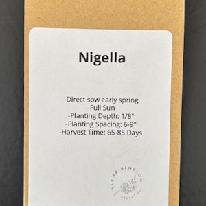 Nigella/ Love-In-A-Mist