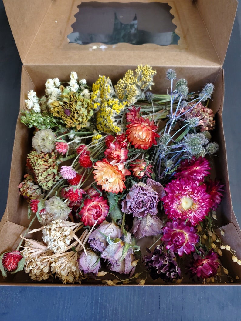 Dried Flower Craft Box Etsy