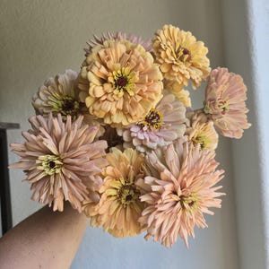 Sugar Blossom Farm's Zinnia Seed Mix